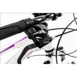 Велосипед Nameless J4000-13W 24" AL